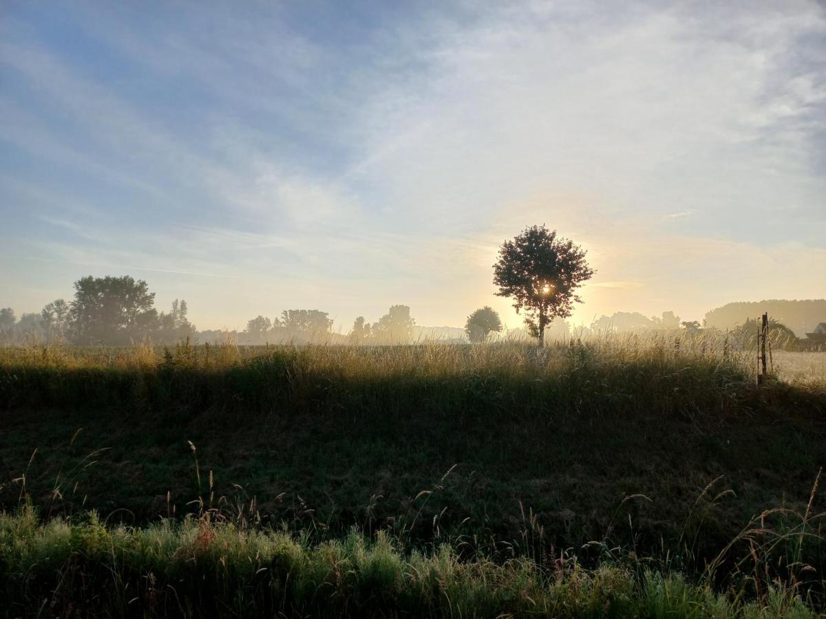 Op 'T Roth 12 Ruime Sfeervolle Vakantiewoning In 'T Groen เอาเดนาร์เดอ ภายนอก รูปภาพ